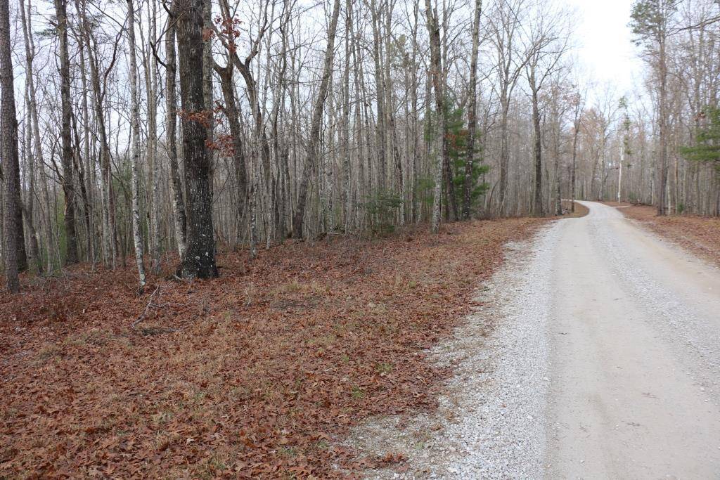 Oneida, TN 37841,0 Wilderness Trail Tr