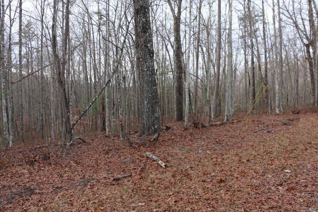 Oneida, TN 37841,0 Wilderness Trail Tr