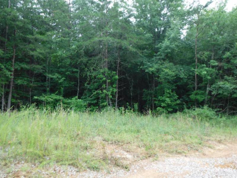 Sunbright, TN 37872,Lot 1 Bill Roberts Rd