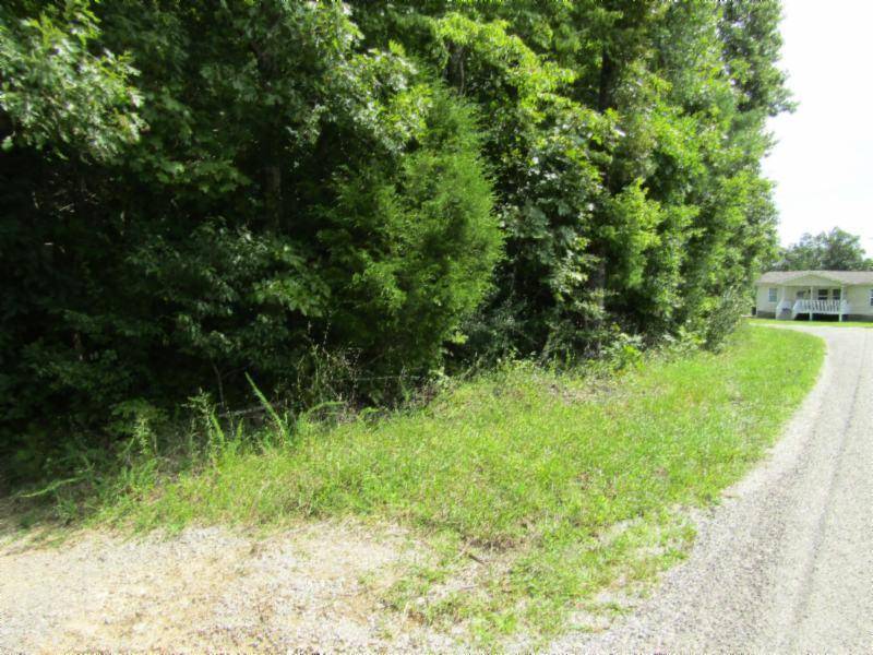 Sunbright, TN 37872,Lot 1 Bill Roberts Rd