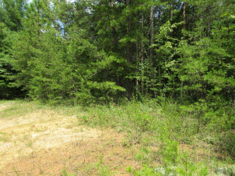 Sunbright, TN 37872,Lot 2 Bill Roberts Rd