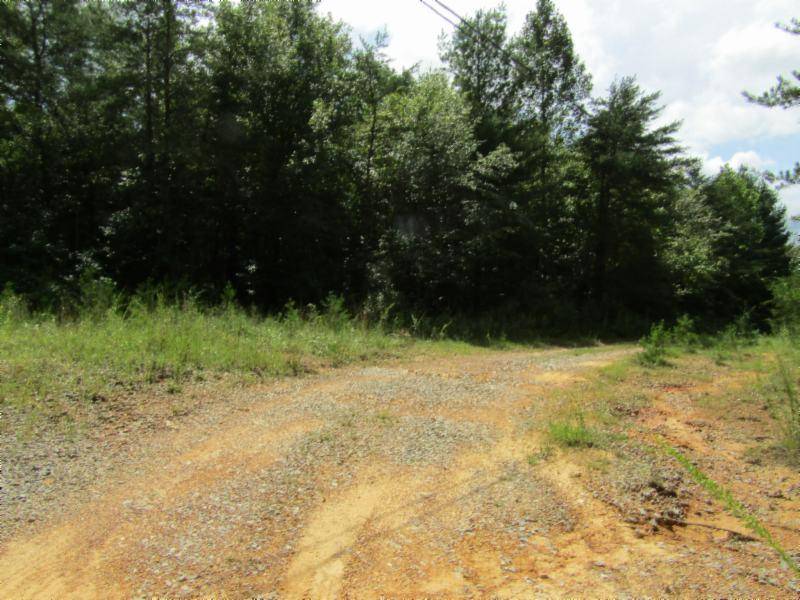 Sunbright, TN 37872,Lot 2 Bill Roberts Rd