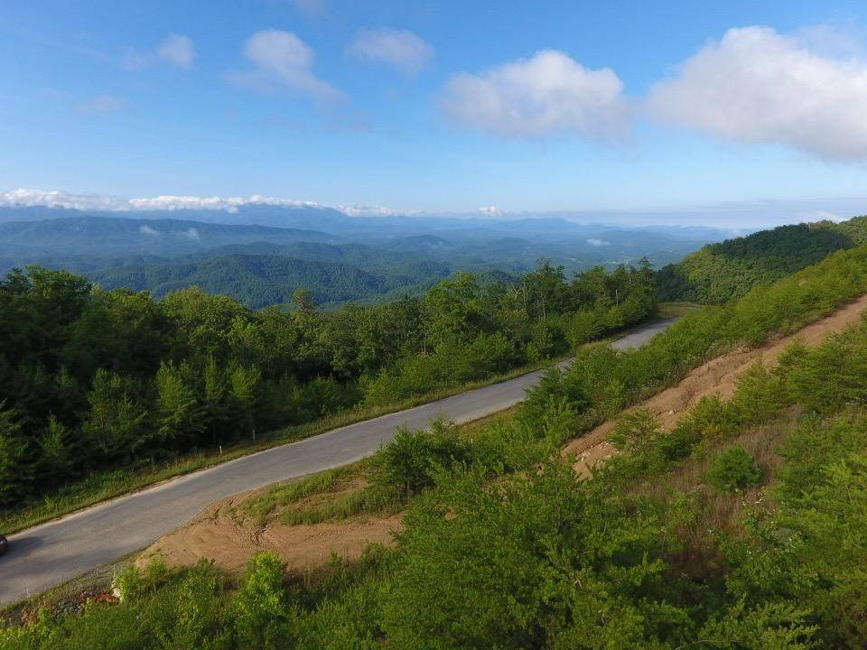 Sevierville, TN 37876,Lot 63 Mountain Ash Way