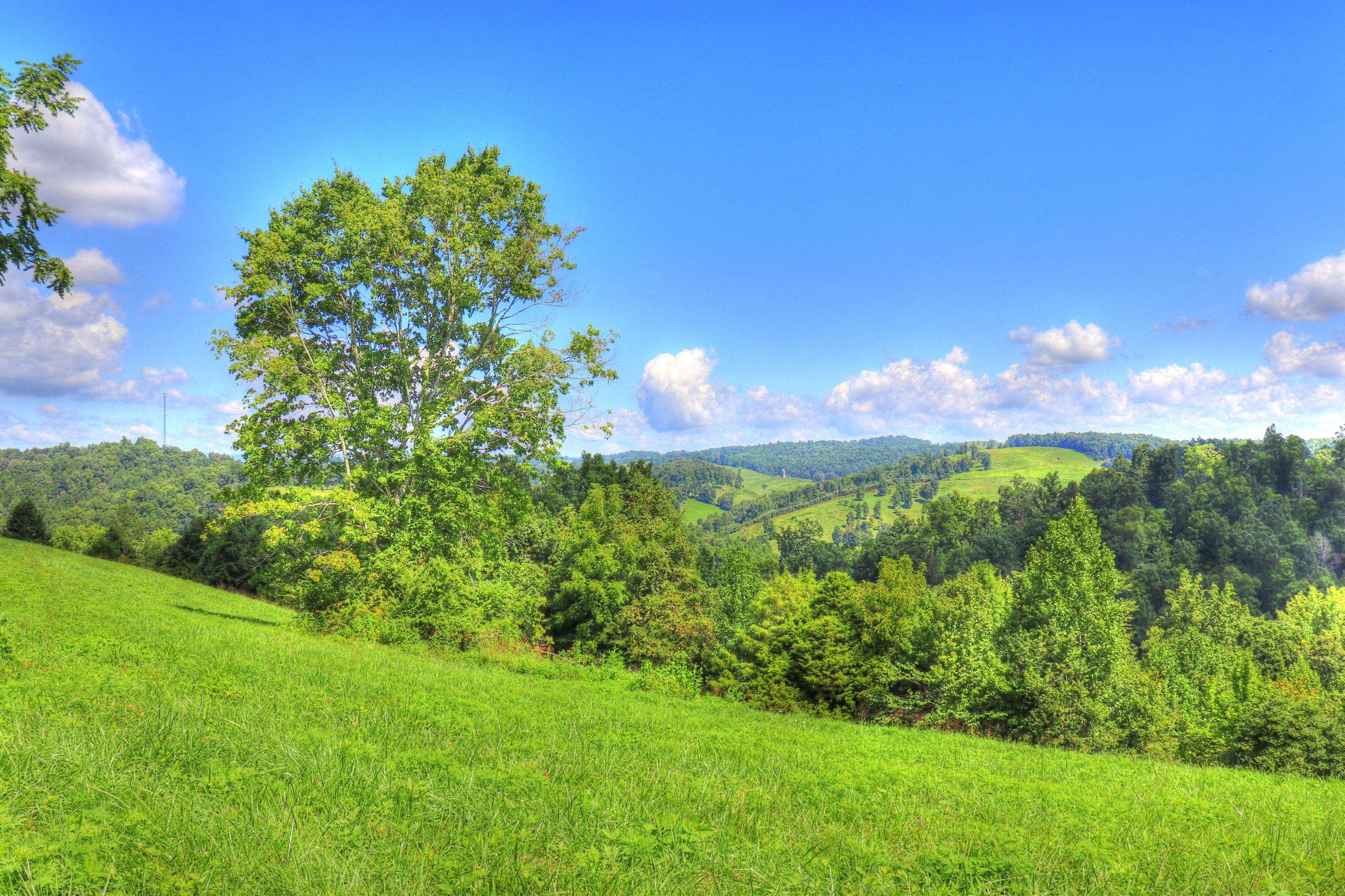 New Tazewell, TN 37825,Lot 18 Smokey Quartz Blvd