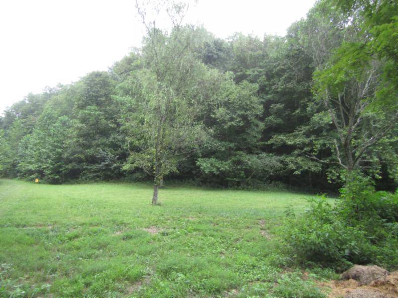 Celina, TN 38551,37.33ac Modock Hollow Rd