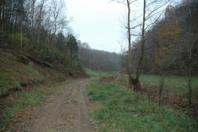 Celina, TN 38551,37.33ac Modock Hollow Rd