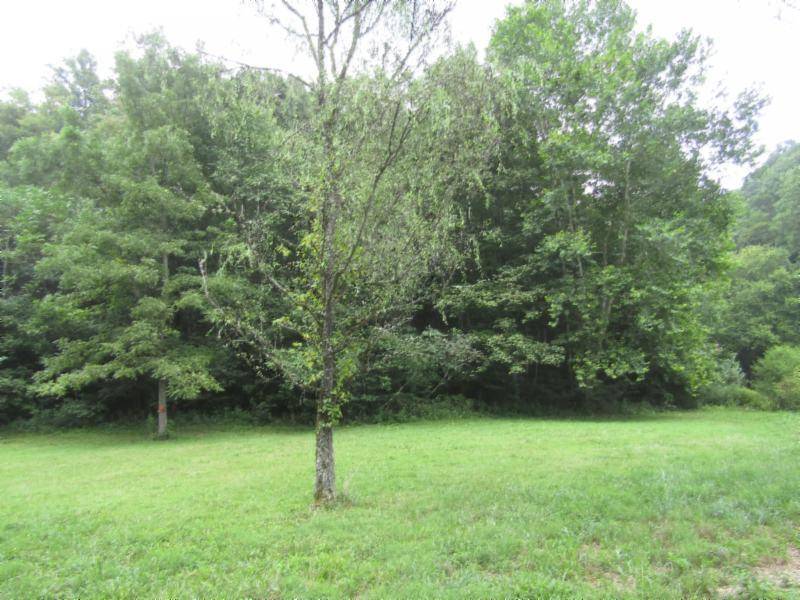 Celina, TN 38551,37.33ac Modock Hollow Rd