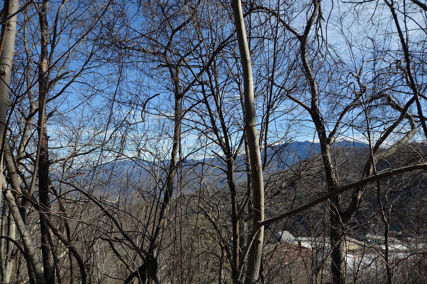 Gatlinburg, TN 37738,Lot 6 Ski View Drive