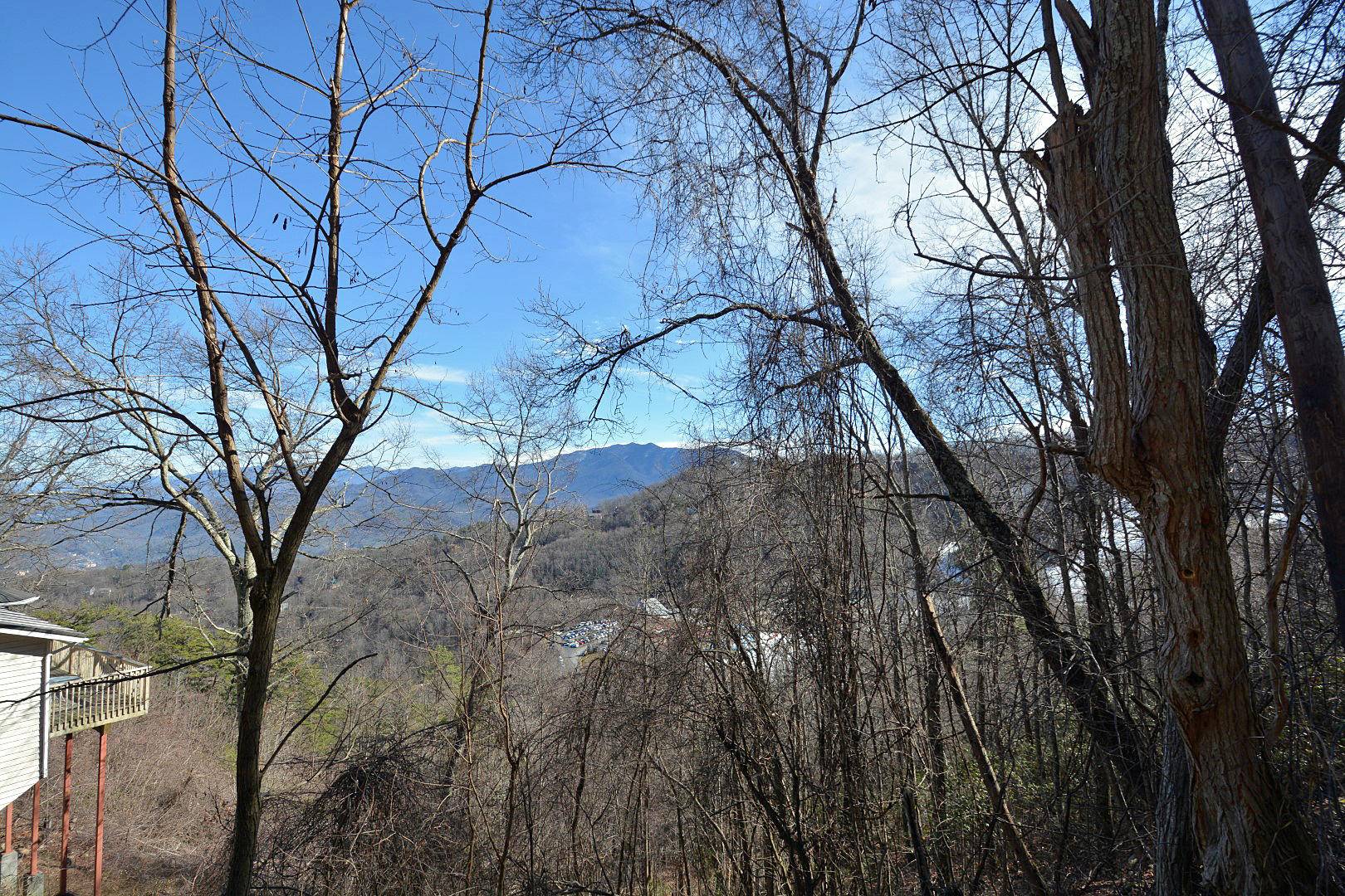 Gatlinburg, TN 37738,Lot 6 Ski View Drive