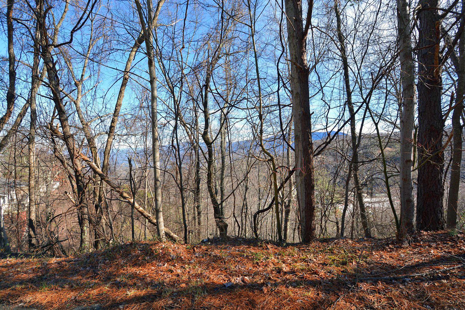 Gatlinburg, TN 37738,Lot 6 Ski View Drive