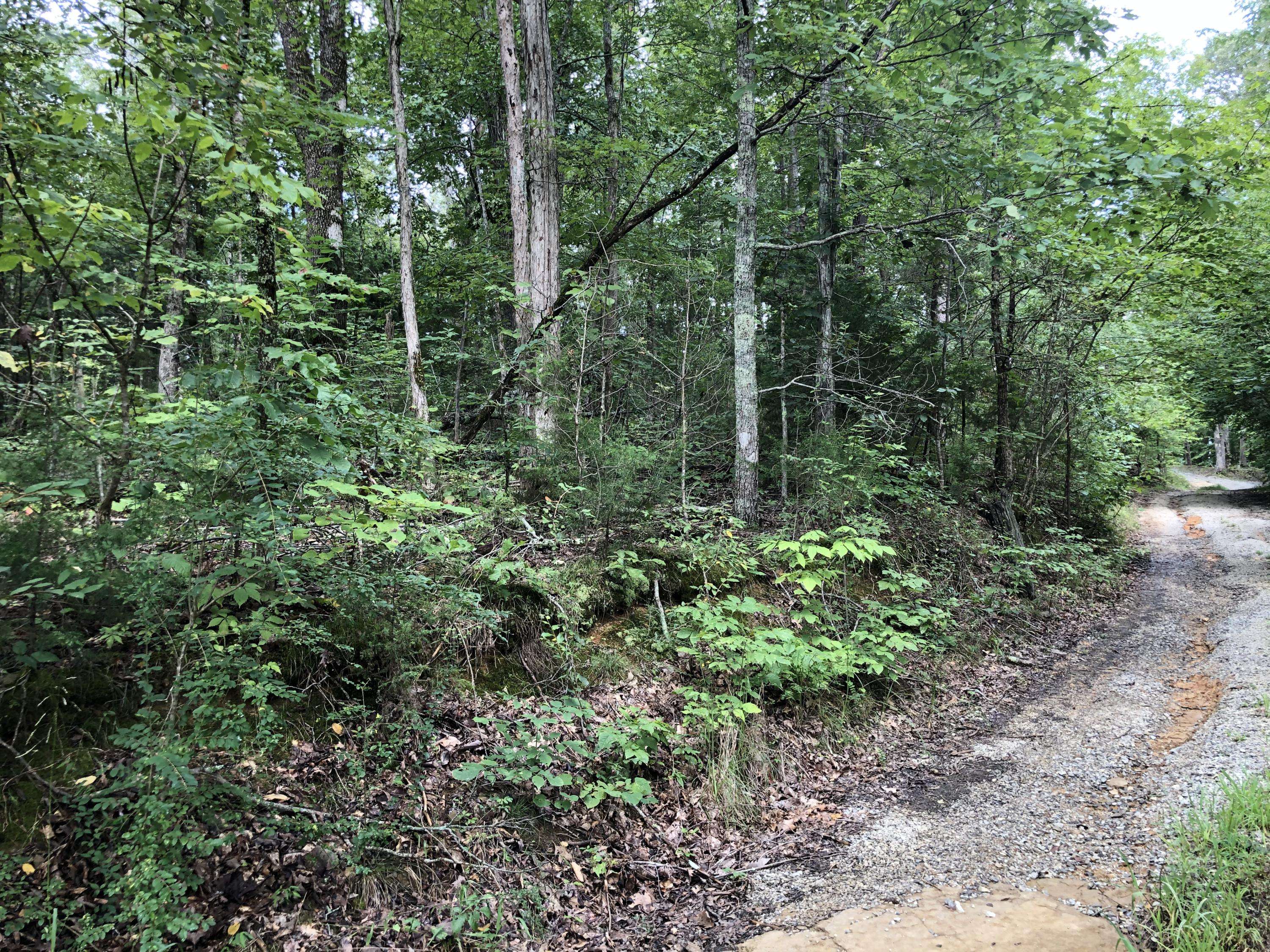 Madisonville, TN 37354,300 Wildcat Trail