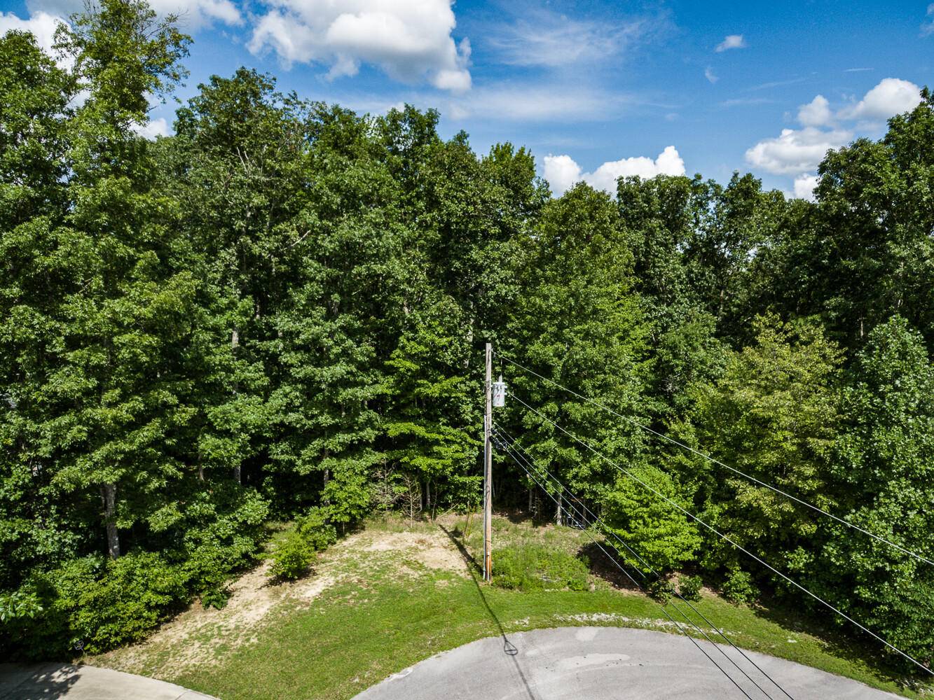 Crossville, TN 38571,15.98 AC Obed PT