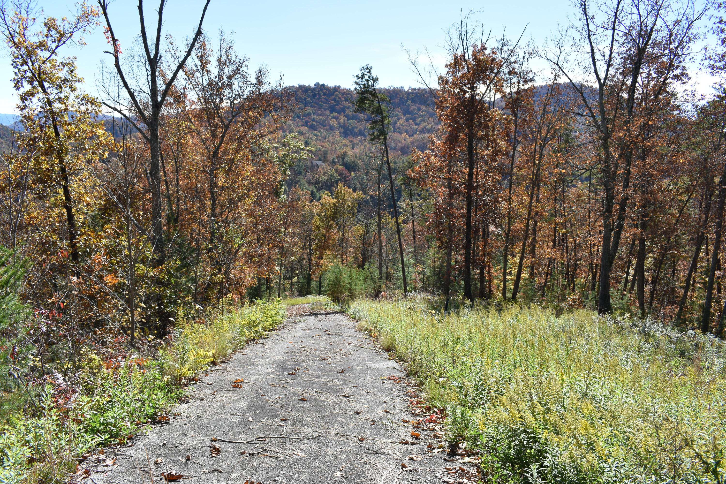 Sevierville, TN 37862,Lot 72WR Flintlock LN