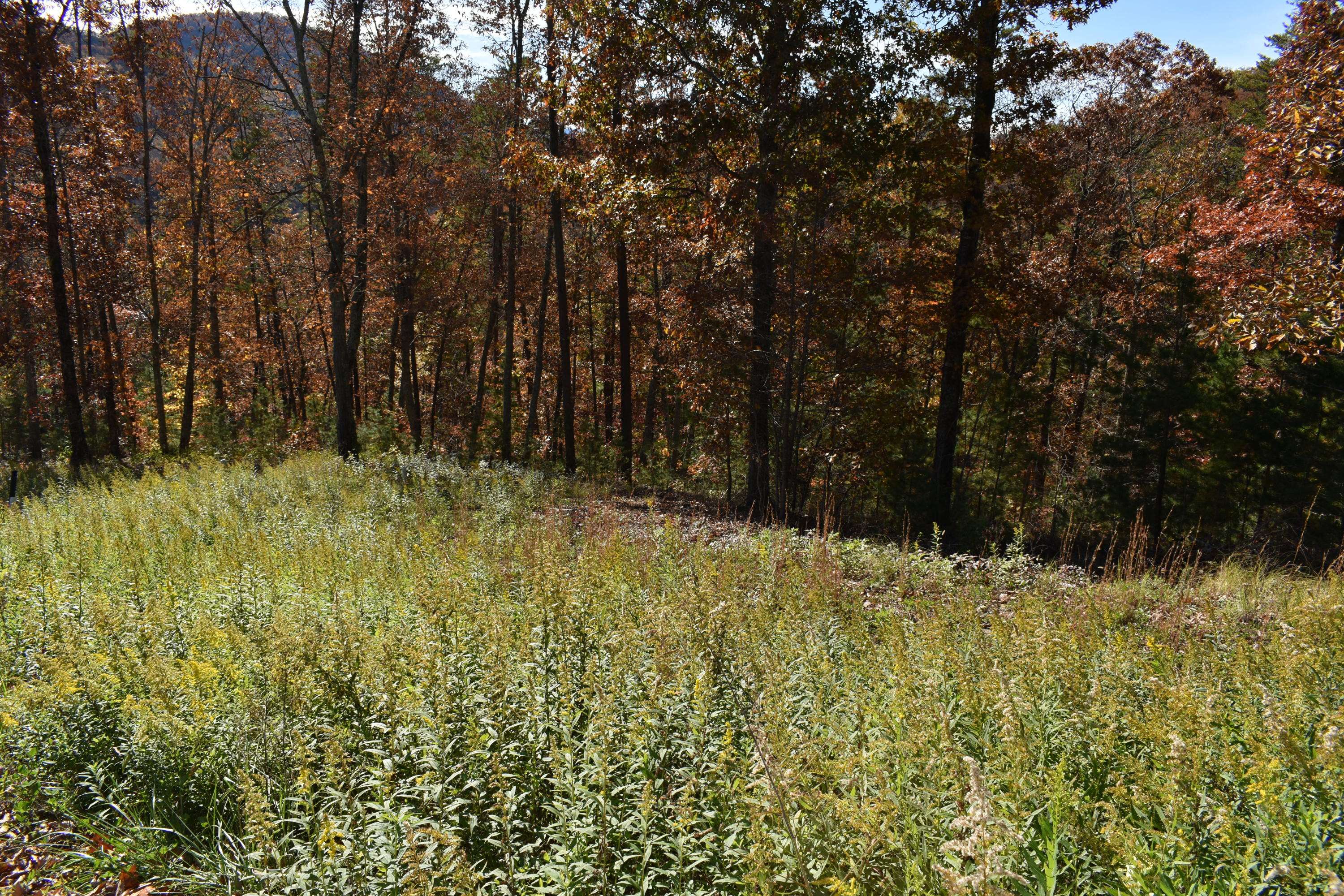 Sevierville, TN 37862,Lot 72WR Flintlock LN