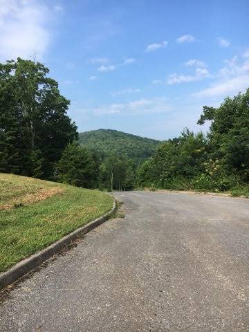 Maynardville, TN 37807,Lot 12 Lakeridge DR