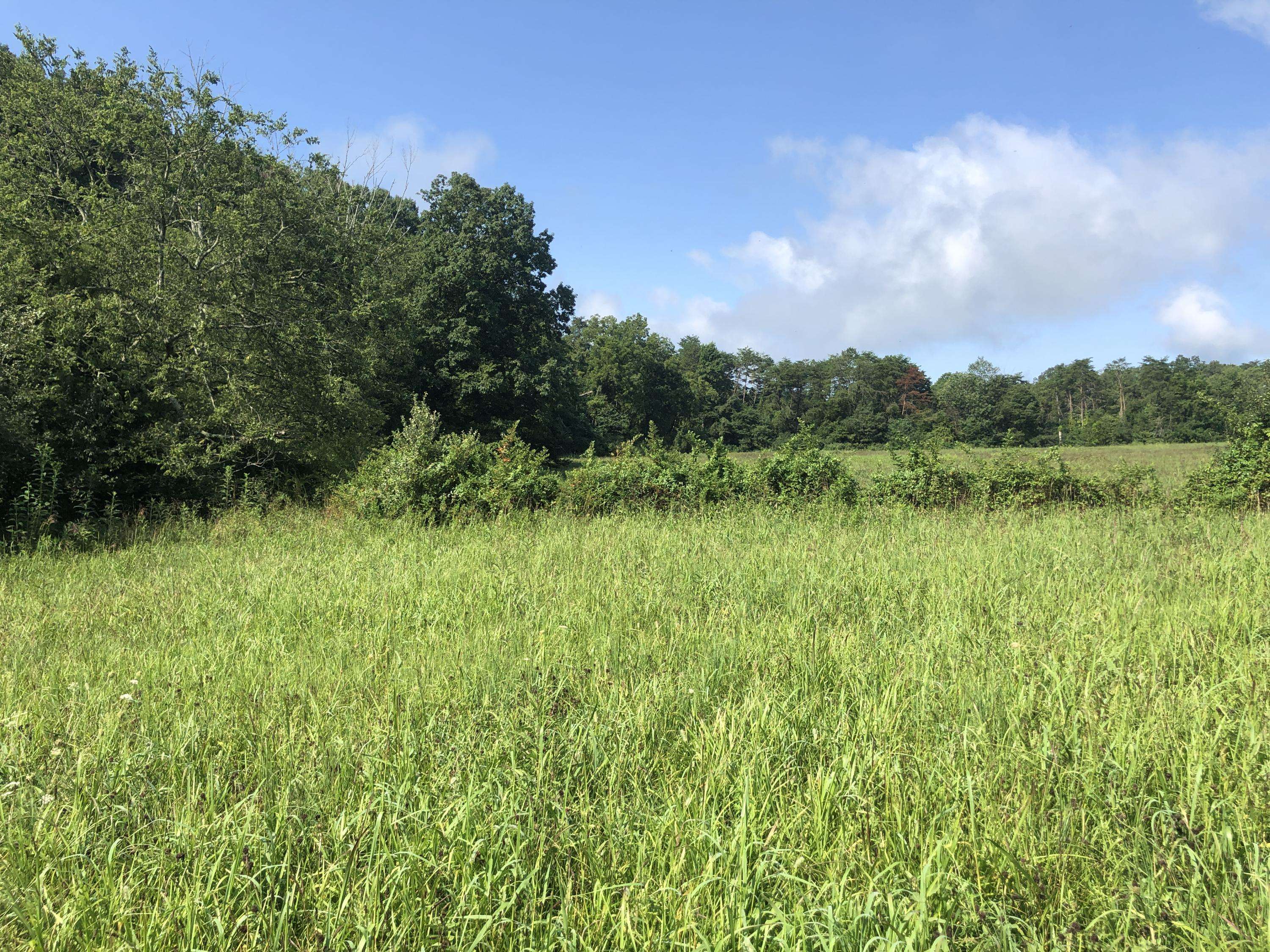 Seymour, TN 37865,Lot 23 Caton St