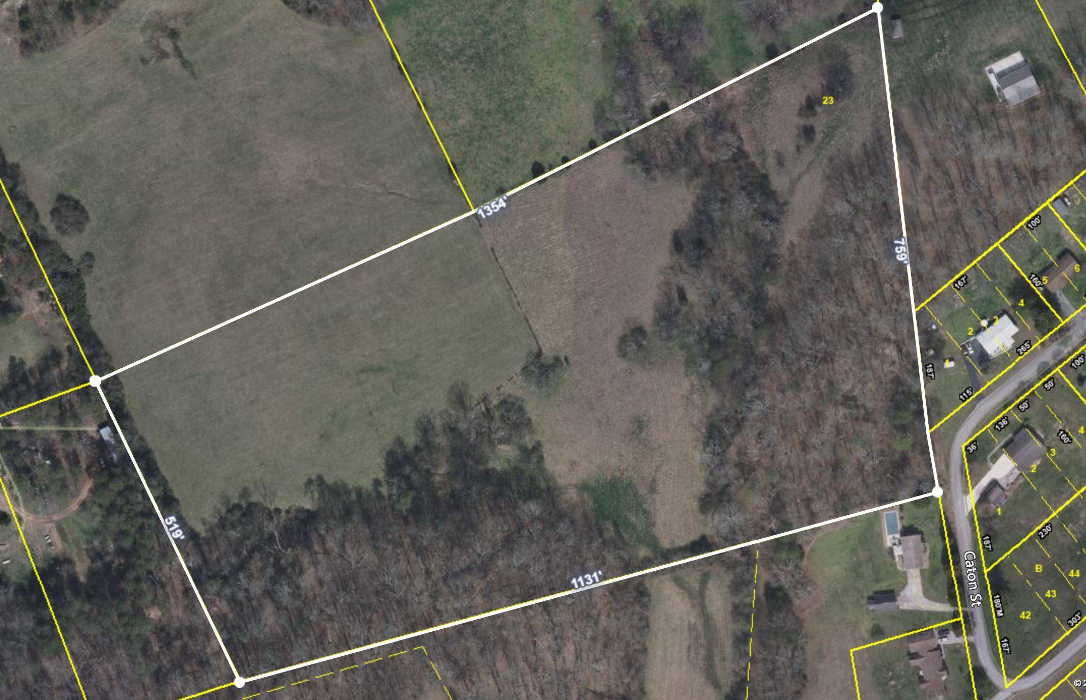 Seymour, TN 37865,Lot 23 Caton St