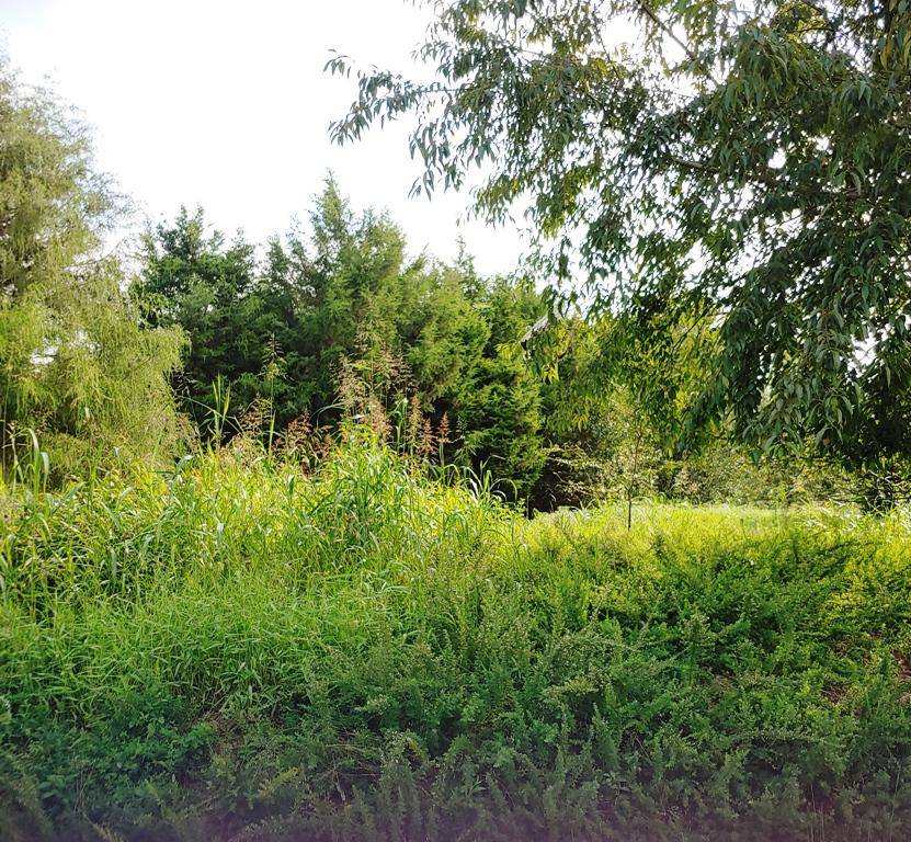 Vonore, TN 37885,Itawa Trail