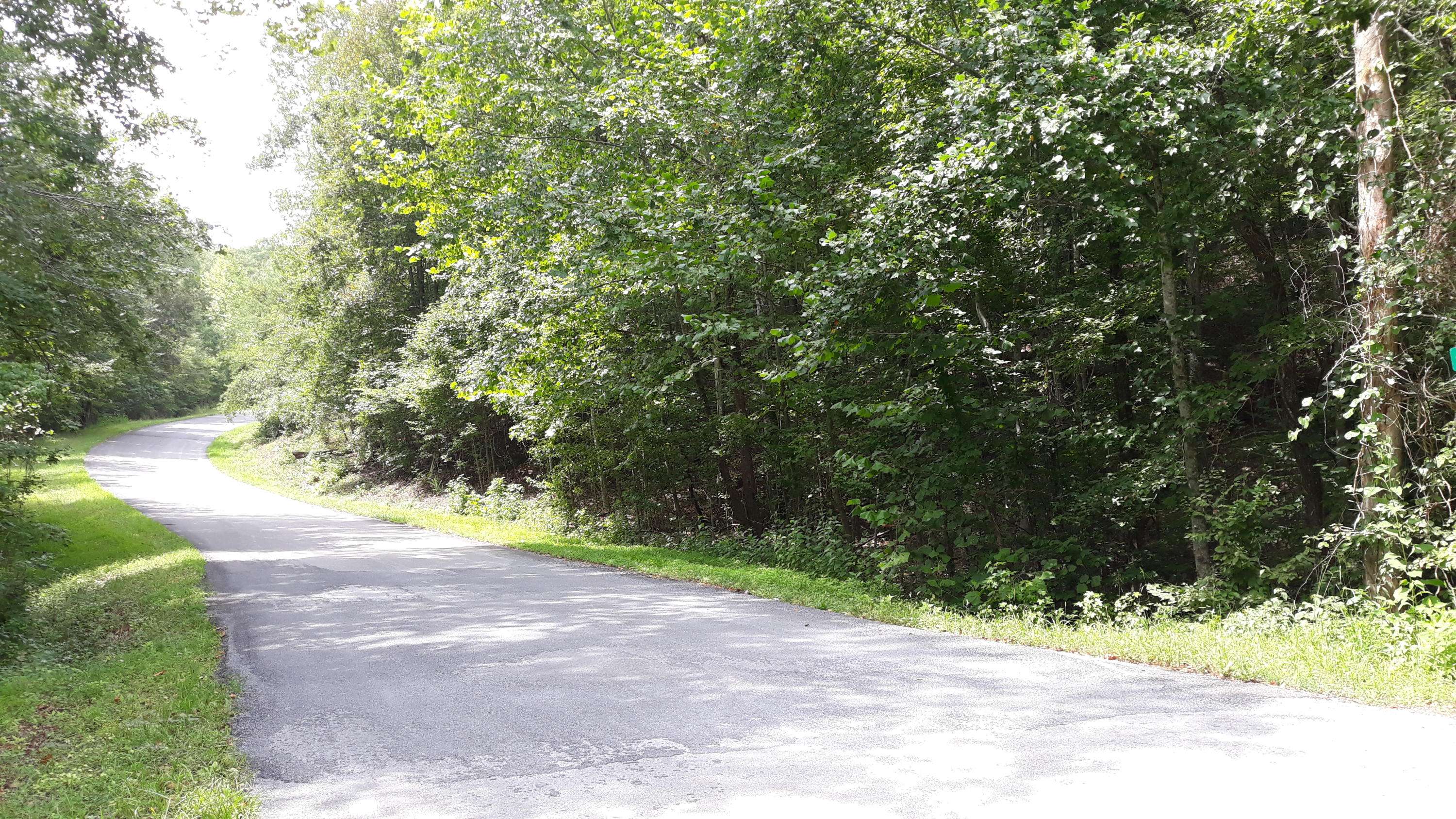 Ten Mile, TN 37880,0 Indian Shadows Drive