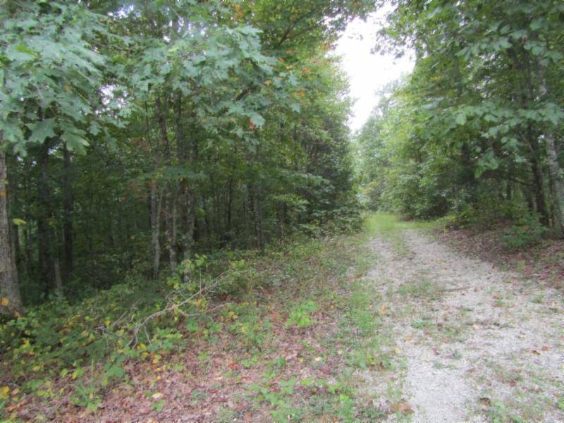 Celina, TN 38551,Lot 1 Backwoods Tr