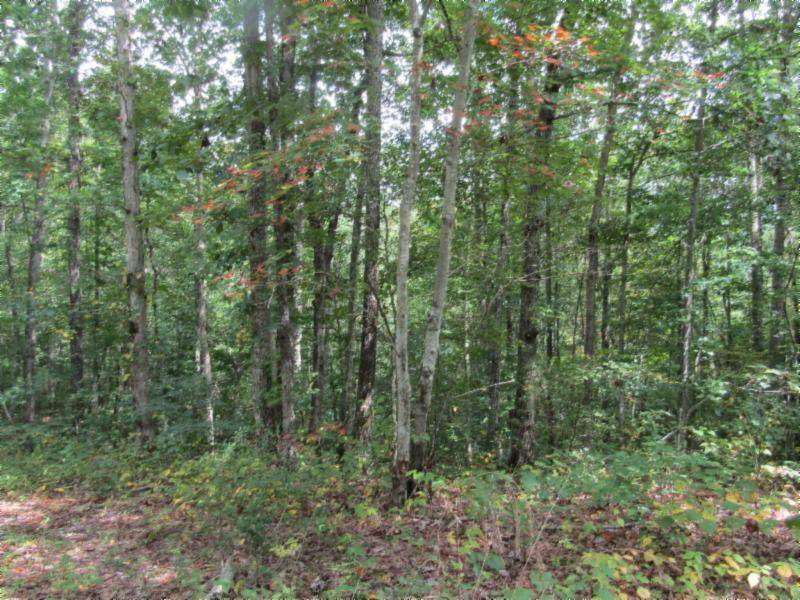 Celina, TN 38551,Lot 1 Backwoods Tr