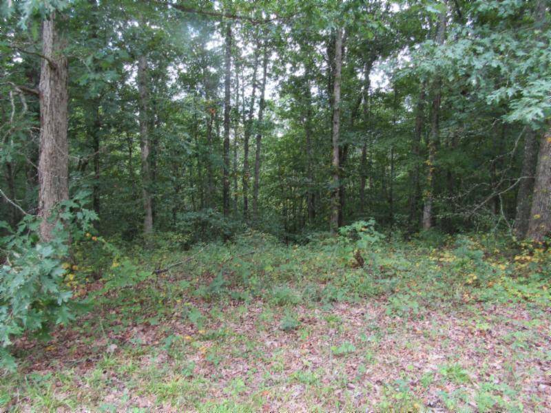 Celina, TN 38551,Lot 1 Backwoods Tr