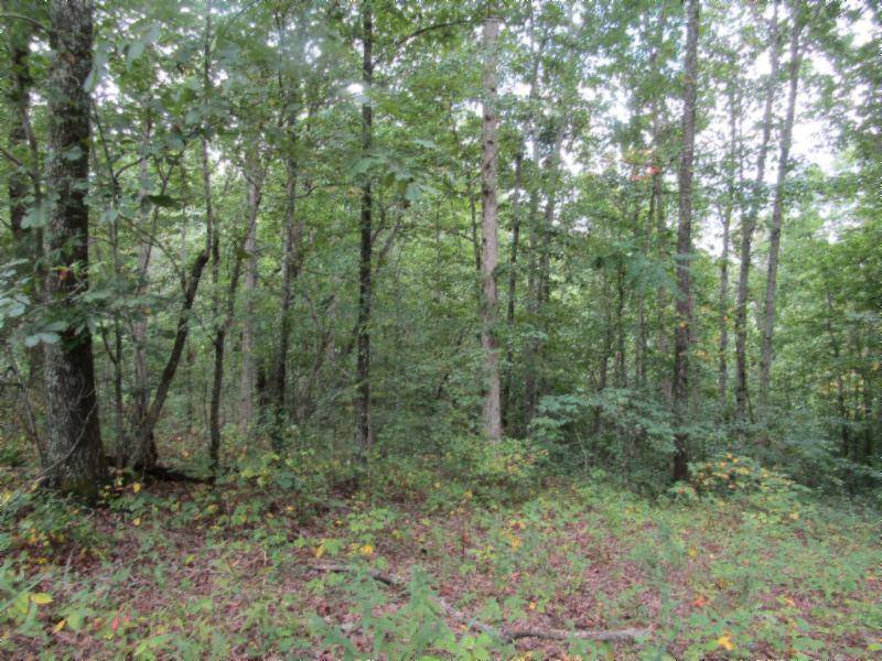 Celina, TN 38551,Lot 1 Backwoods Tr