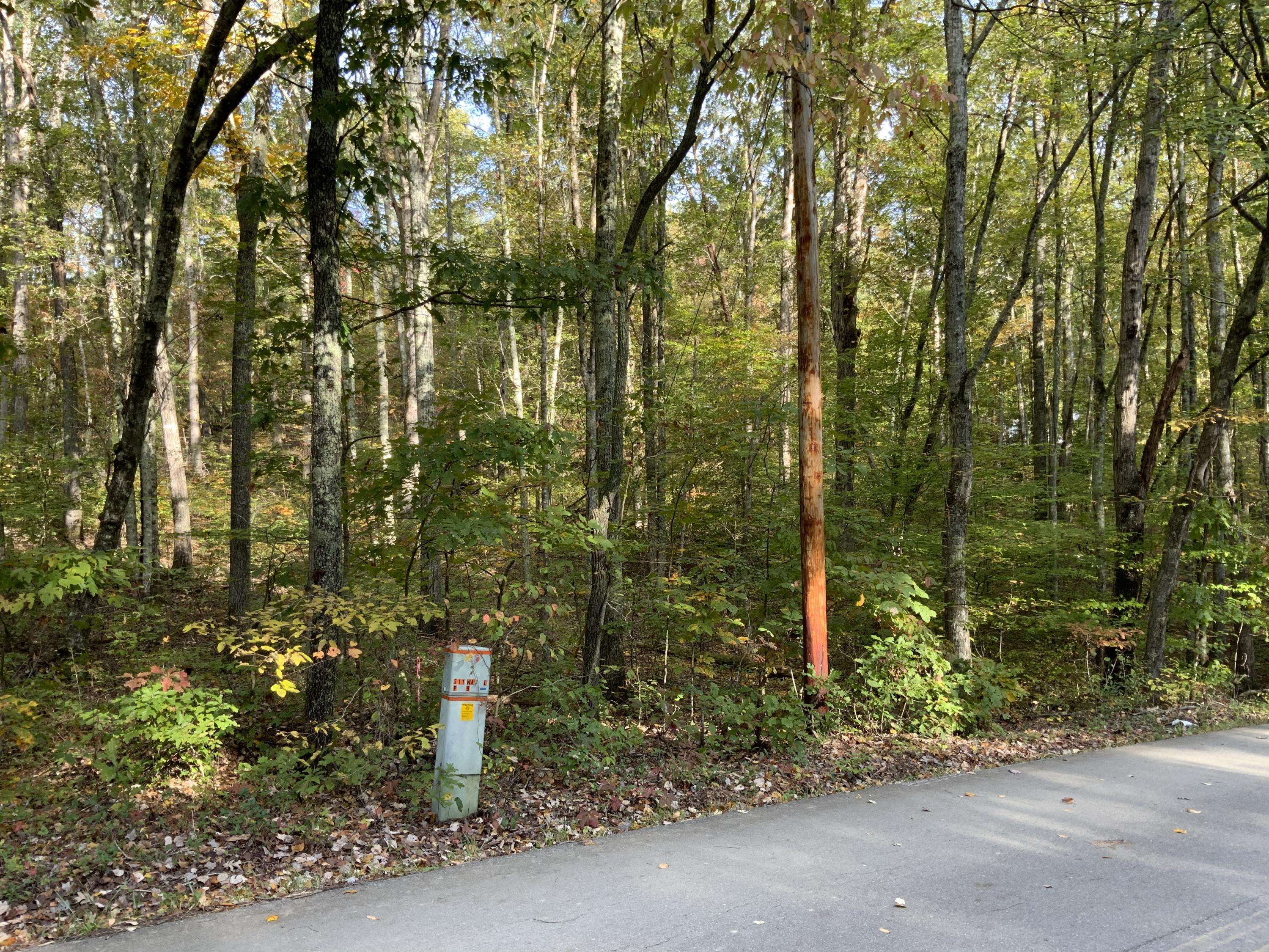 Rockwood, TN 37854,Eagle Furnace Rd, Lot 25A, 25B