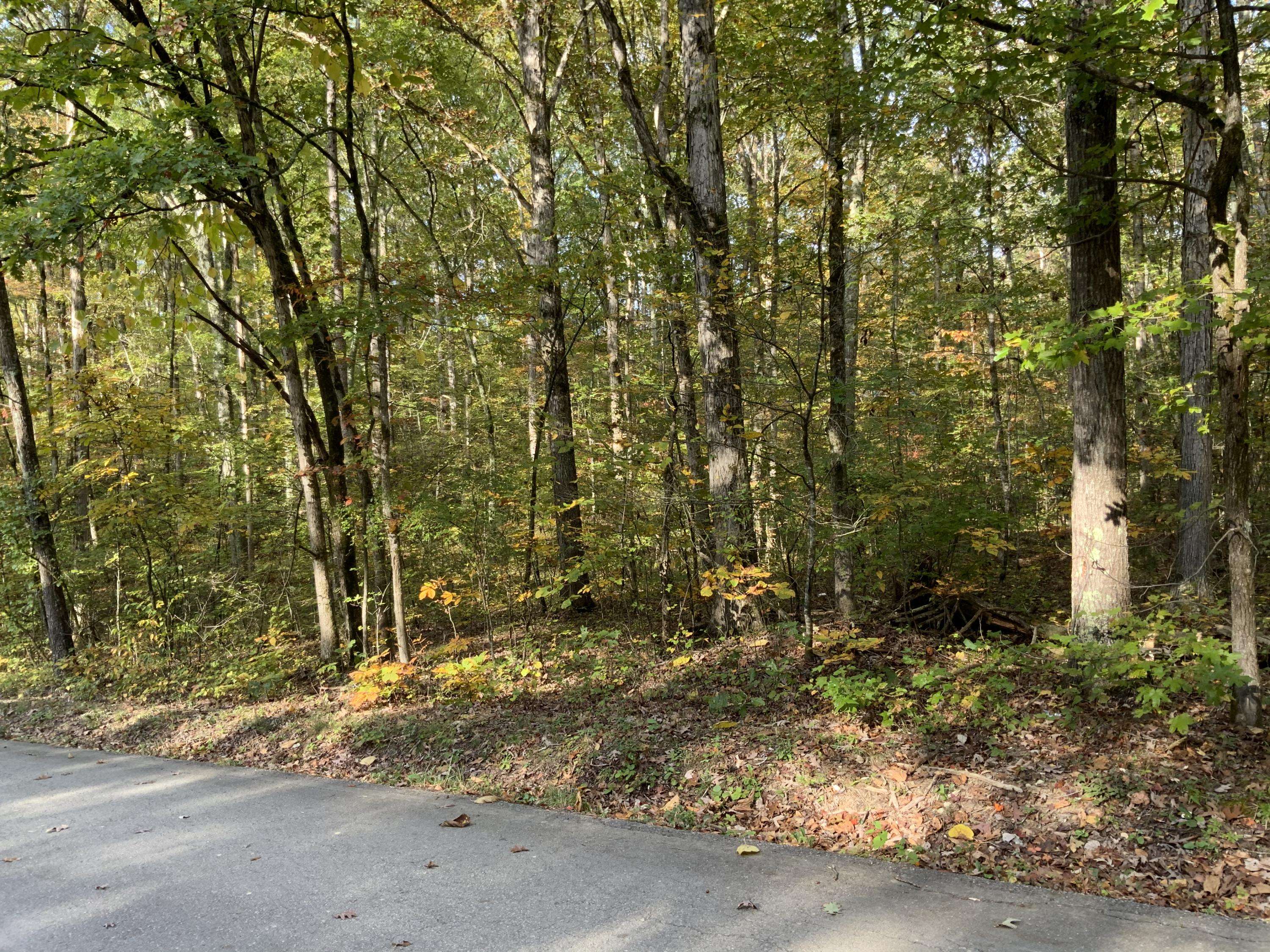 Rockwood, TN 37854,Eagle Furnace Rd, Lot 25A, 25B