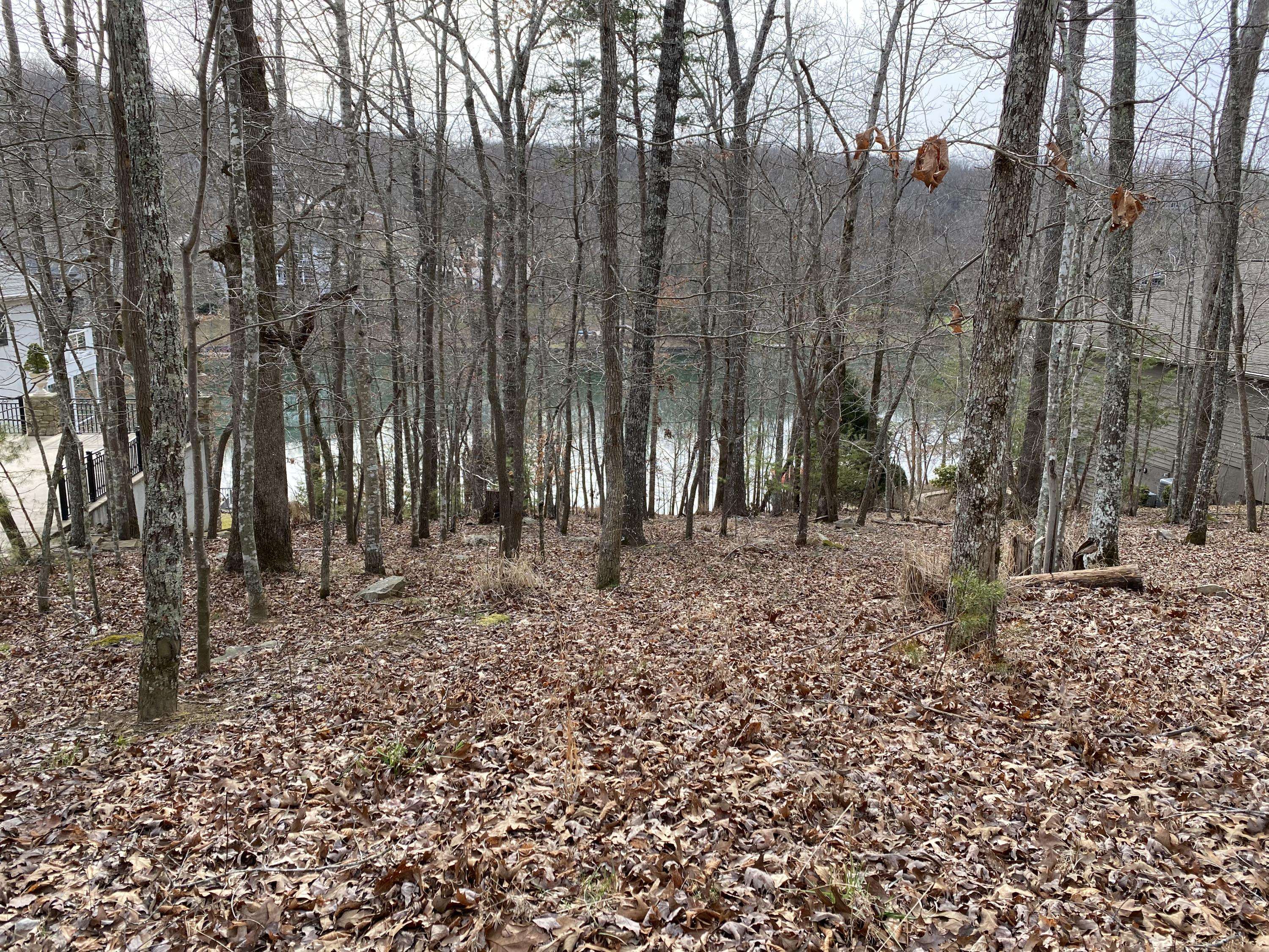 Fairfield Glade, TN 38558,124 Chatham LN