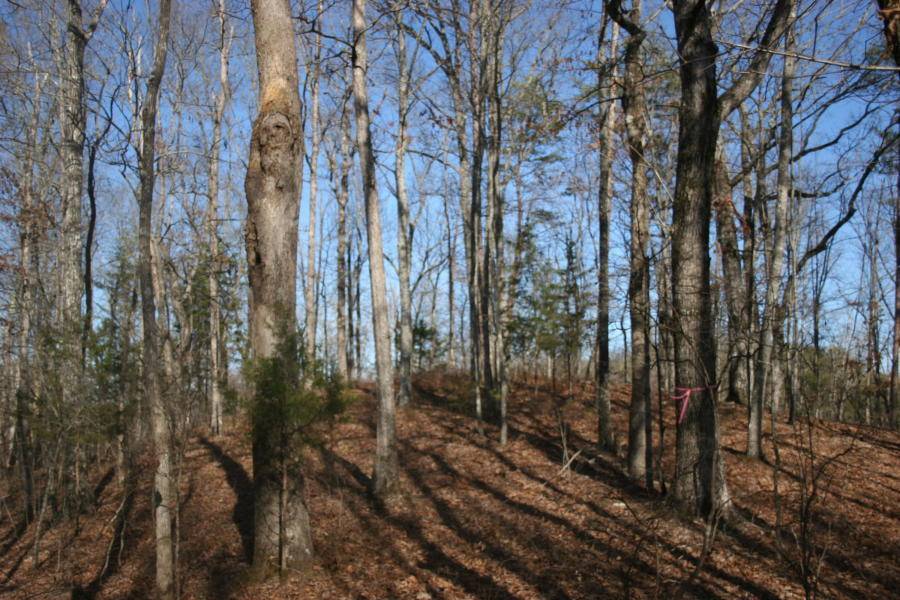 Vonore, TN 37885,Three Point Rd