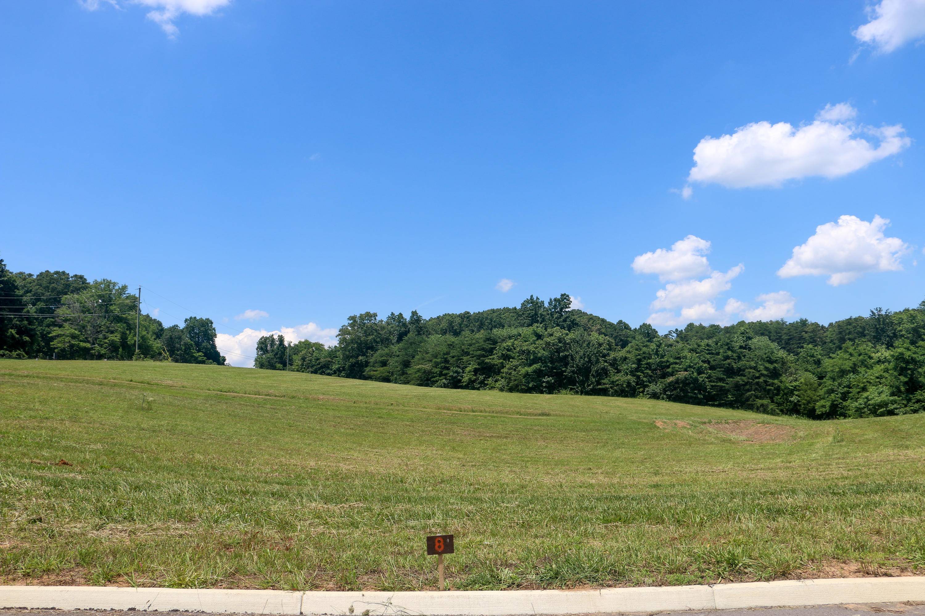 Strawberry Plains, TN 37871,Lot 4 Melford DR