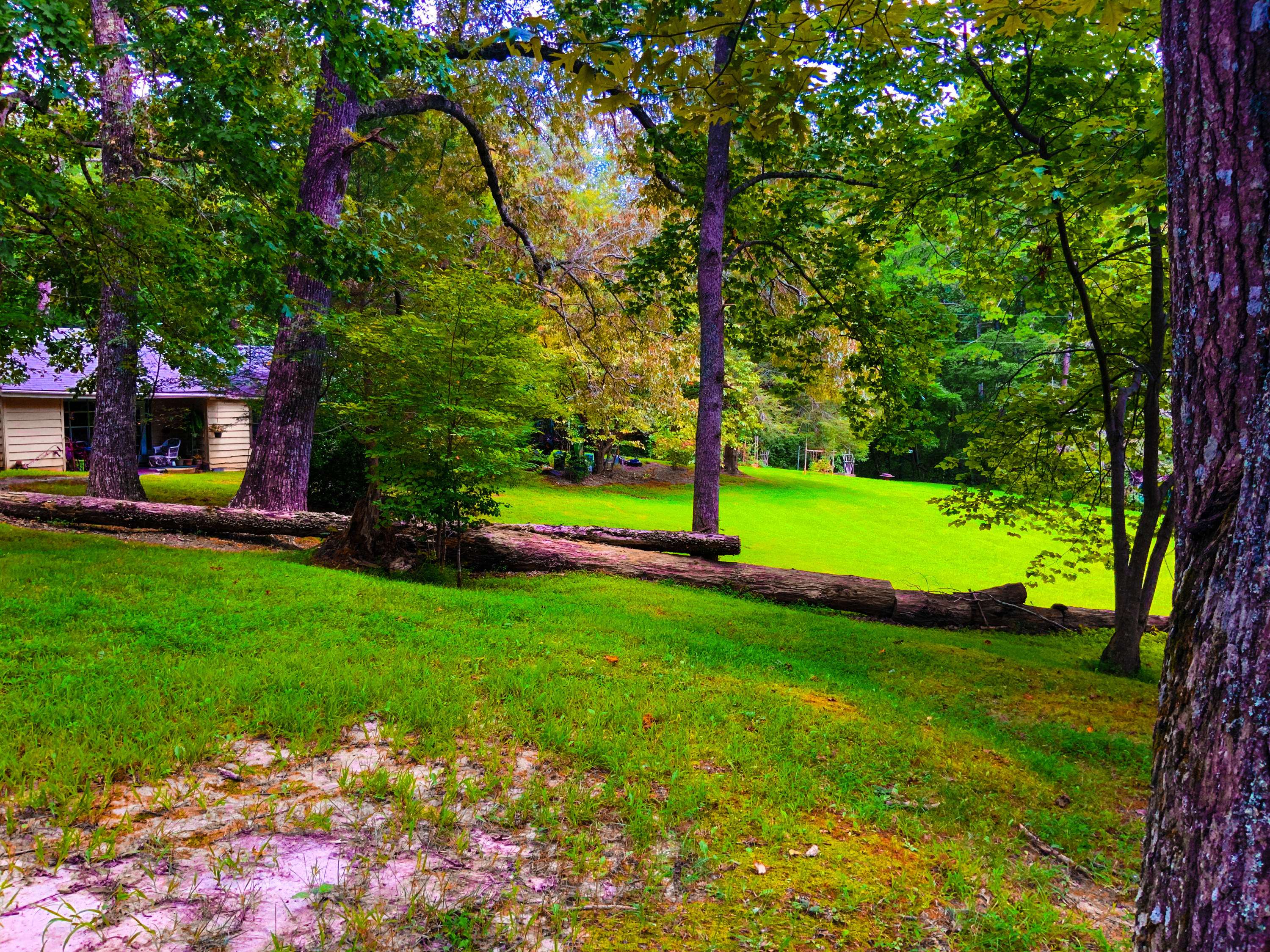 Tellico Plains, TN 37385,131 Church Camp Rd