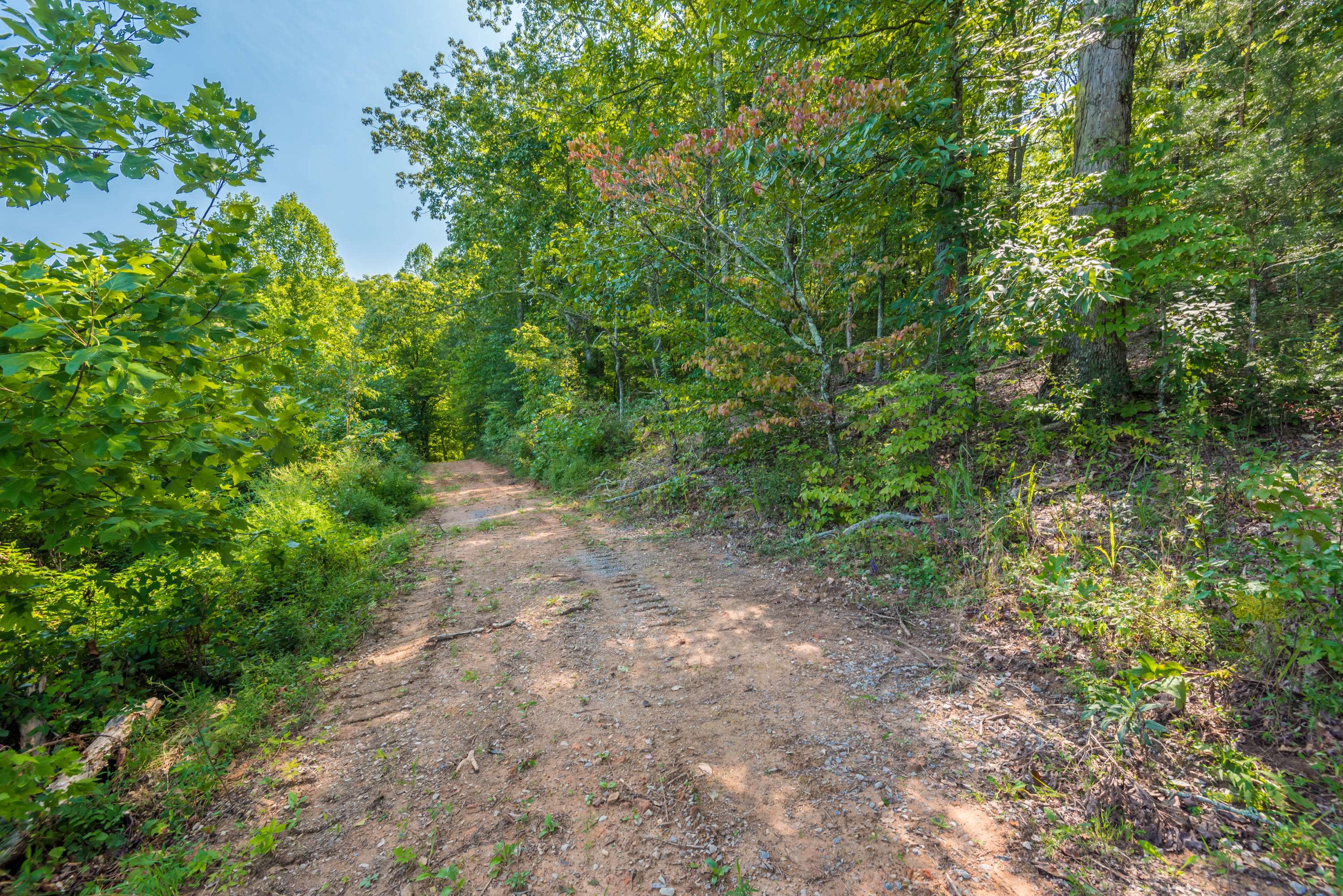 Tellico Plains, TN 37385,Highway 68