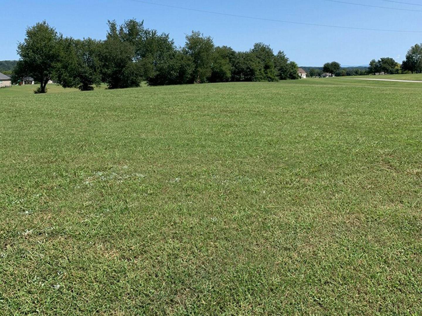 Dandridge, TN 37725,Lot 67 Early Morning LN