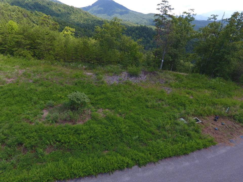 Sevierville, TN 37876,Lot #38 Mountain Ash Way