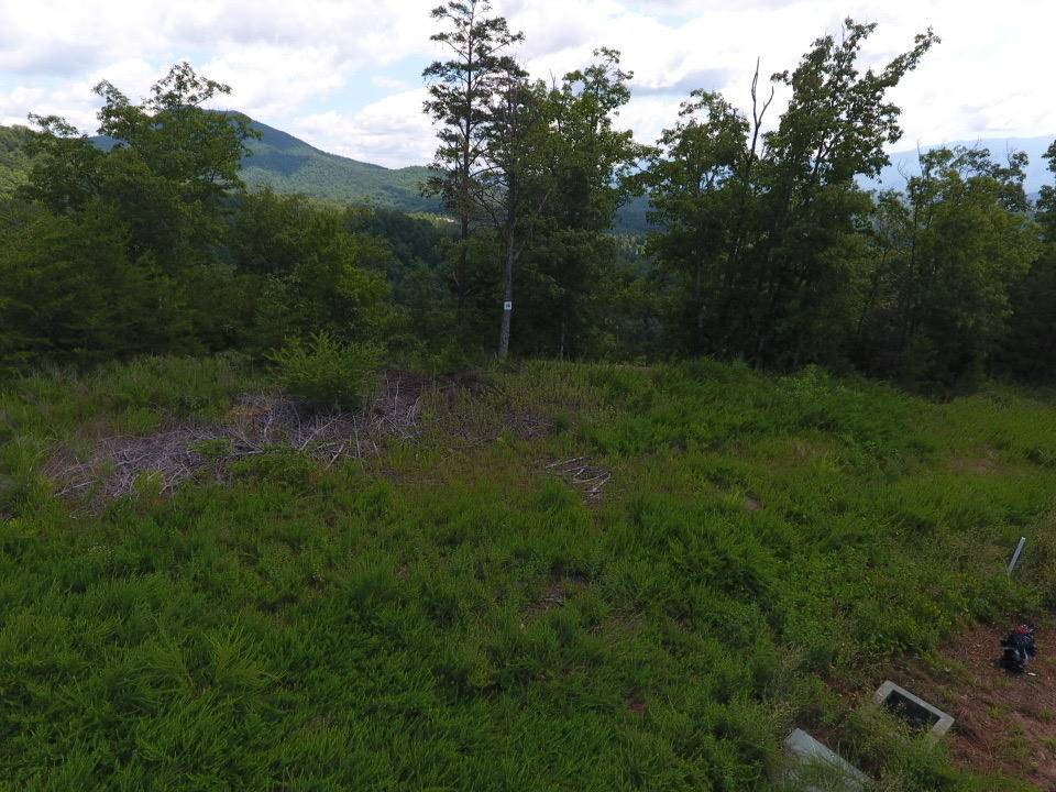 Sevierville, TN 37876,Lot #38 Mountain Ash Way