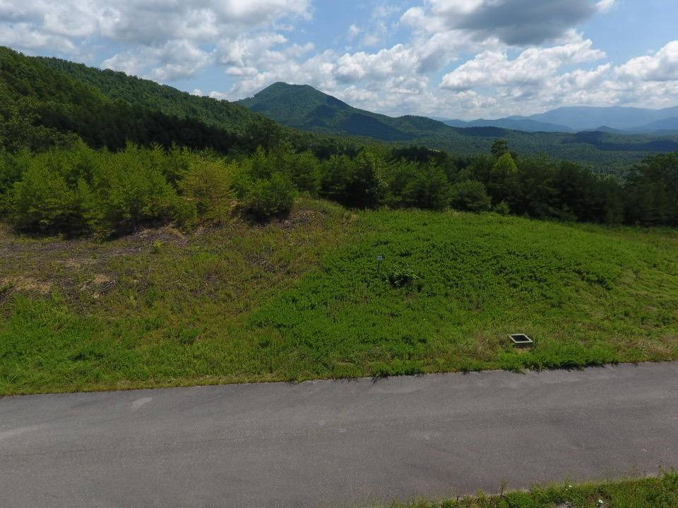 Sevierville, TN 37876,Lot #39 Mountain Ash Way