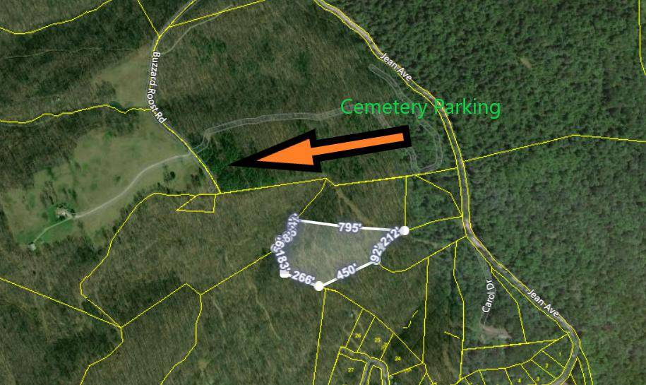 Jamestown, TN 38556,7 Acres -Buzzard Roost