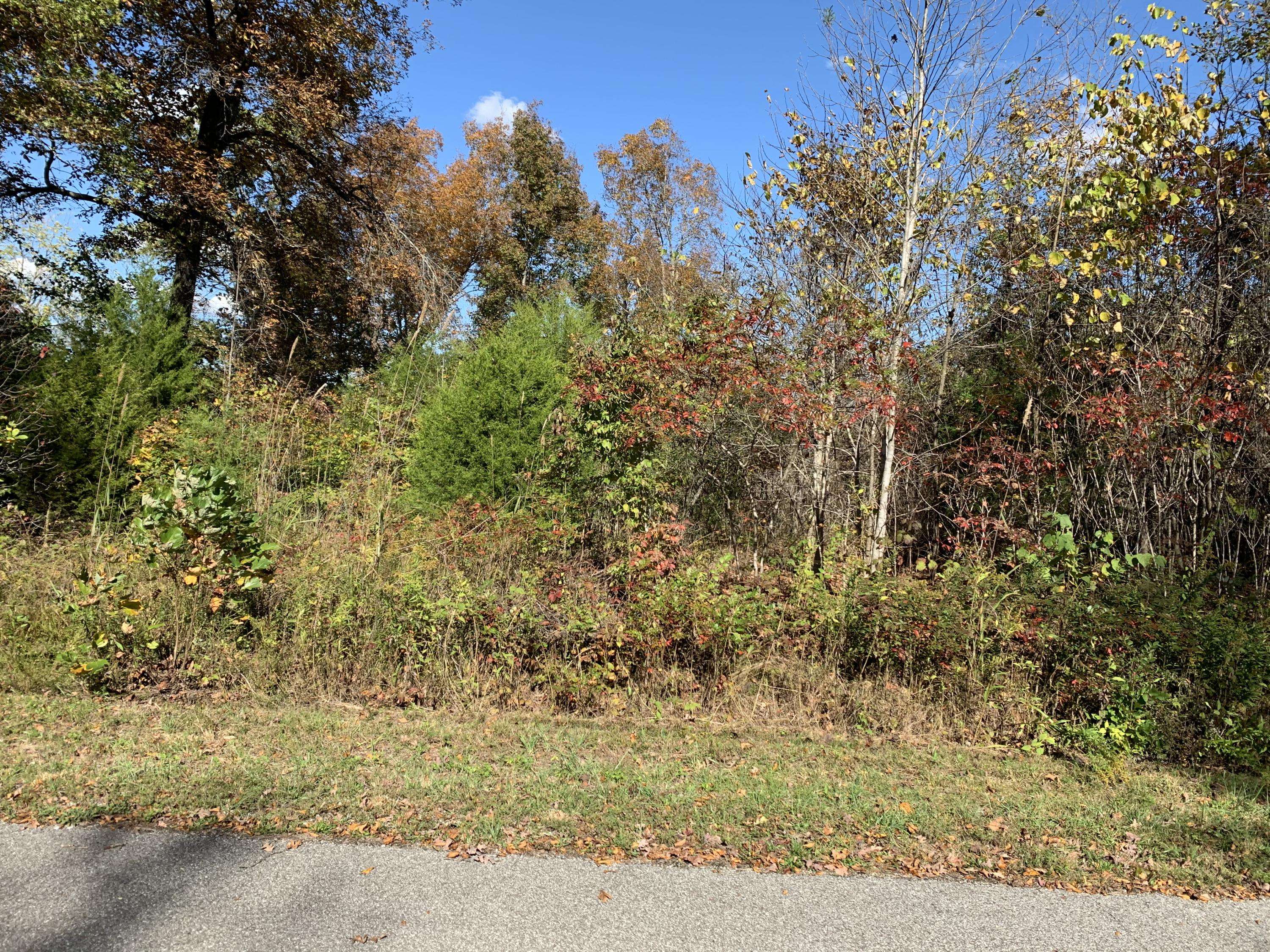 Speedwell, TN 37870,lot 82 Saddleridge DR