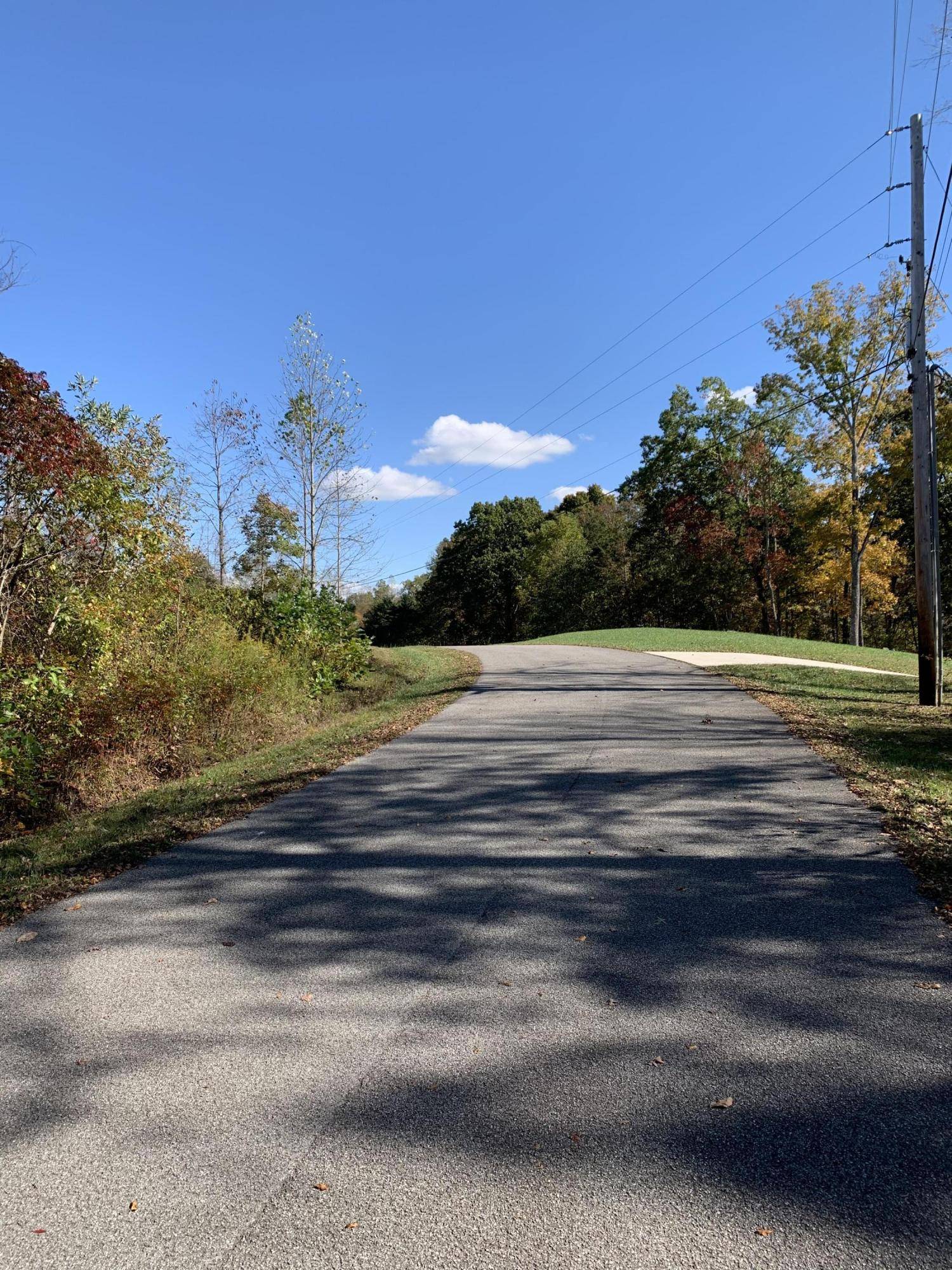 Speedwell, TN 37870,lot 82 Saddleridge DR