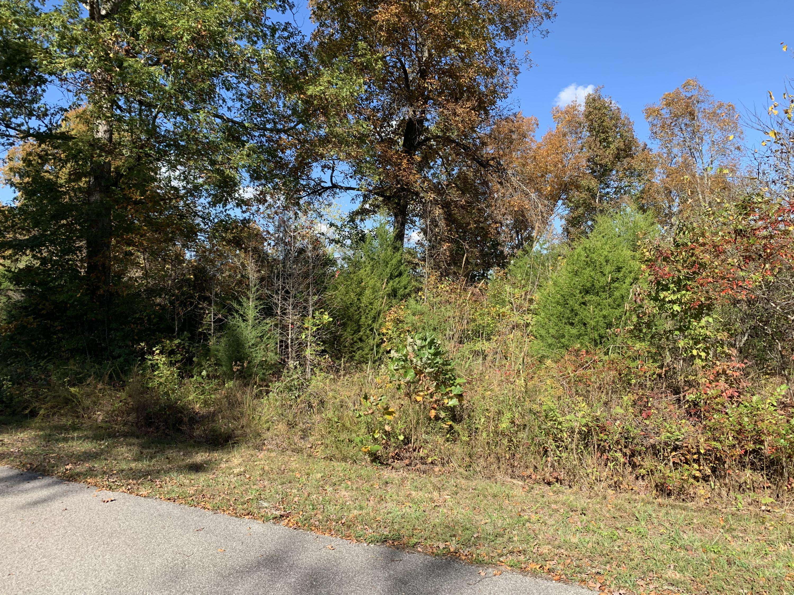 Speedwell, TN 37870,lot 82 Saddleridge DR