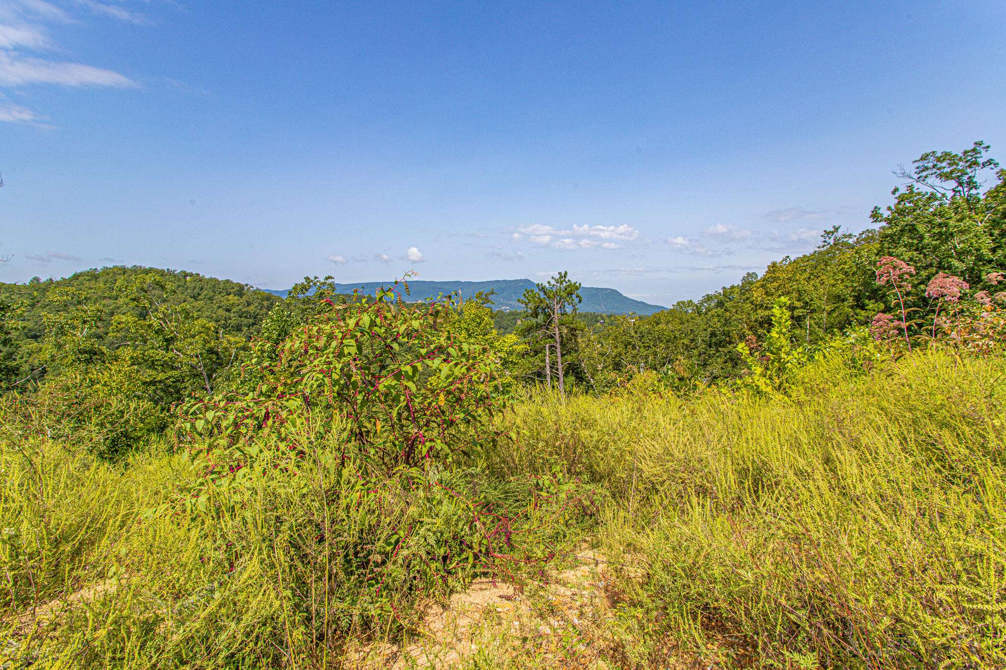 Sevierville, TN 37862,Lot 84 Smoky Overlook WAY