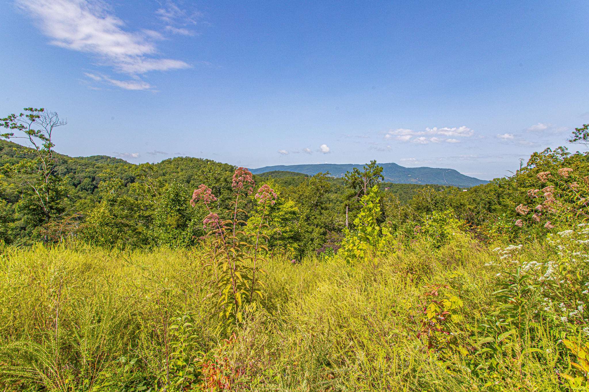 Sevierville, TN 37862,Lot 84 Smoky Overlook WAY