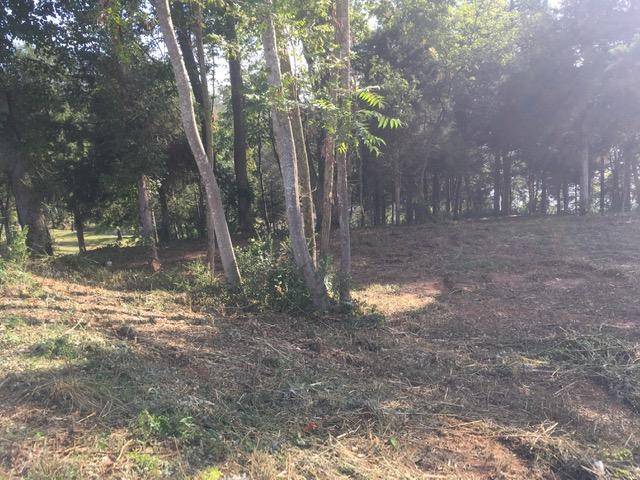 Harriman, TN 37748,Lot 36 Serenity DR