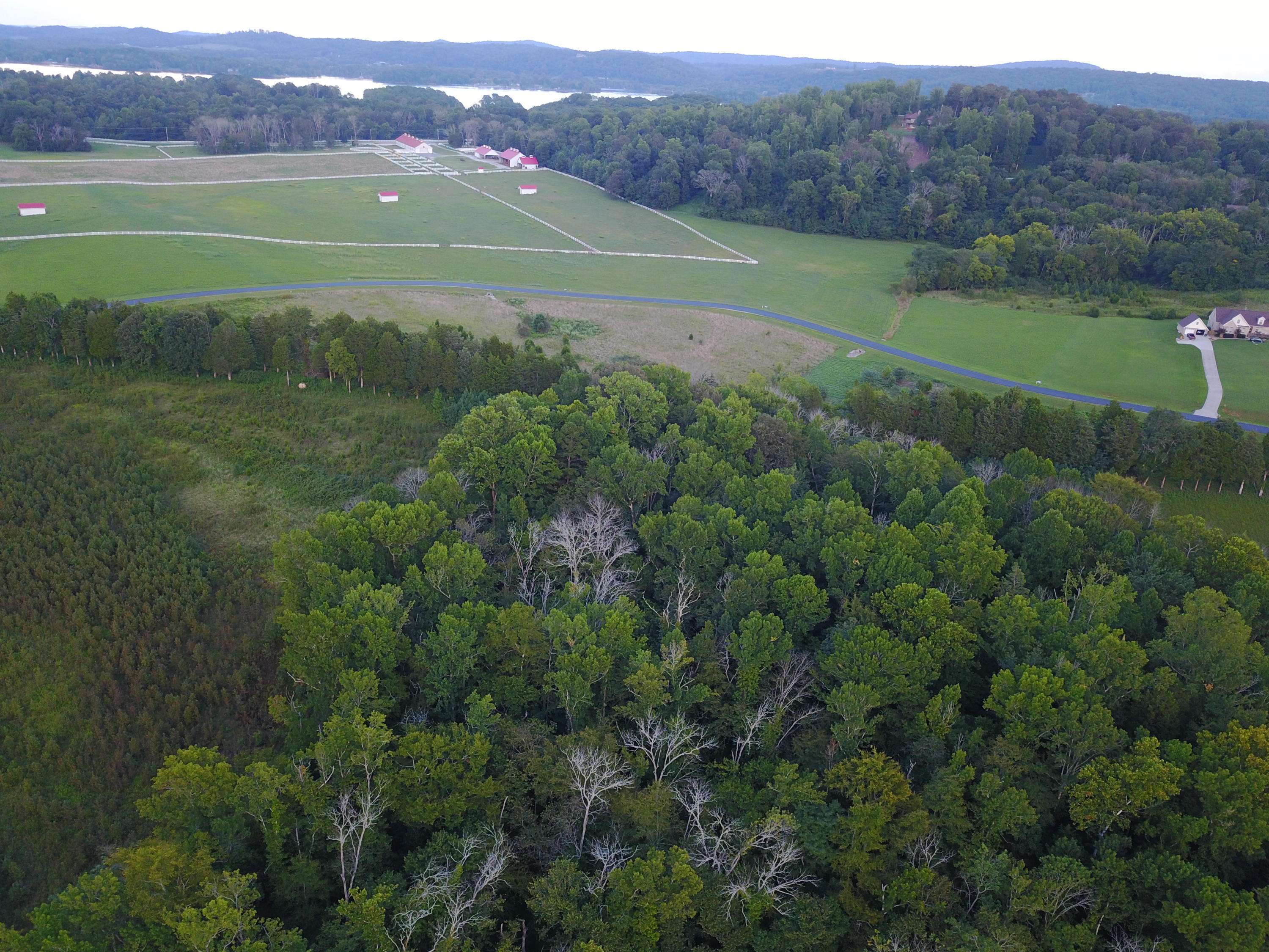 Rockwood, TN 37854,Pointe Vista DR #Lot 451