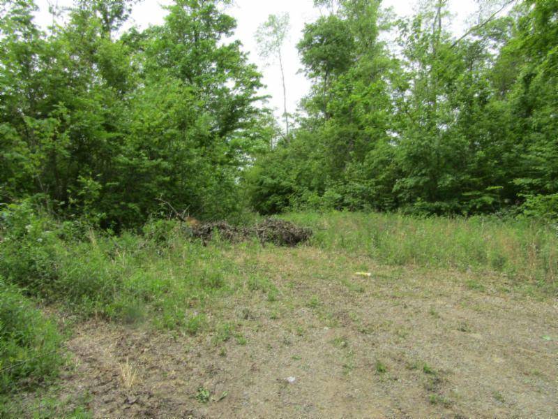 Celina, TN 38551,Lot 2 White Oak Ridge Rd