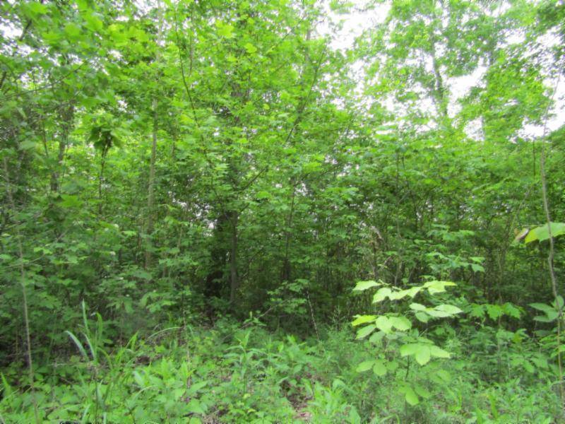 Celina, TN 38551,Lot 2 White Oak Ridge Rd