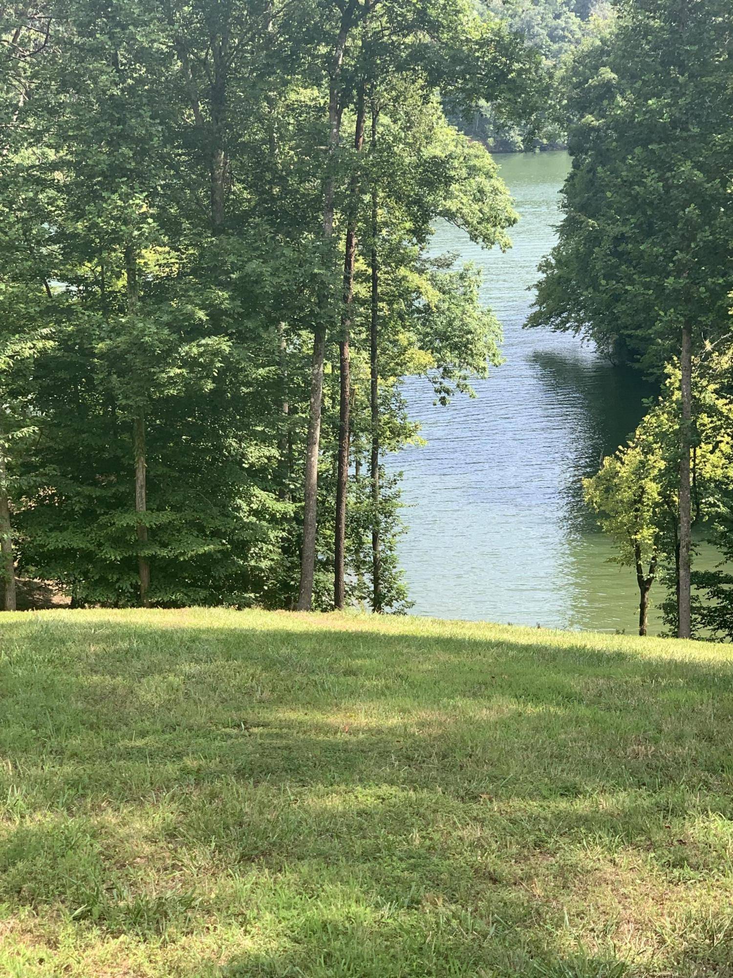 New Tazewell, TN 37825,156 Rockfish PT