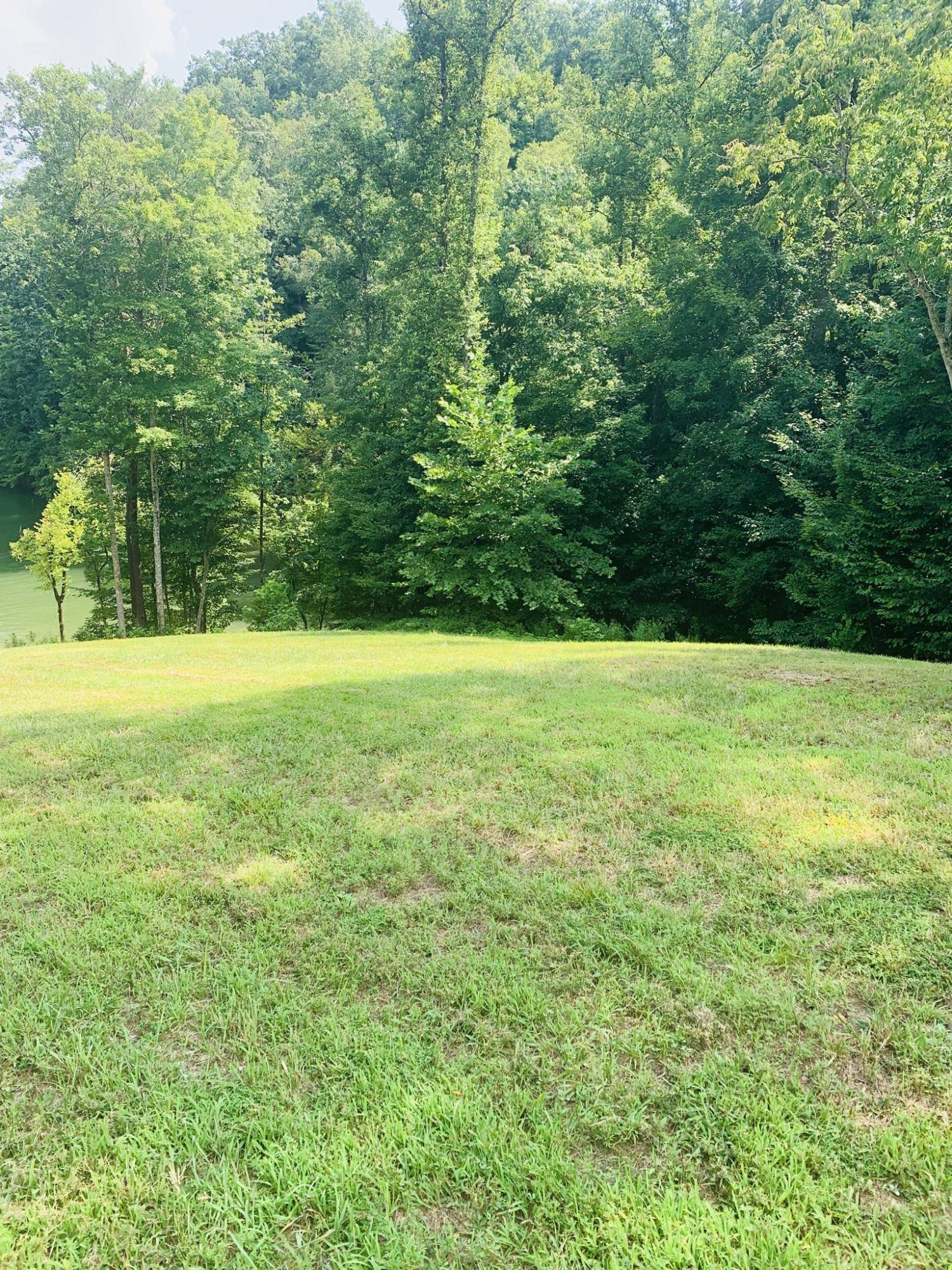 New Tazewell, TN 37825,156 Rockfish PT